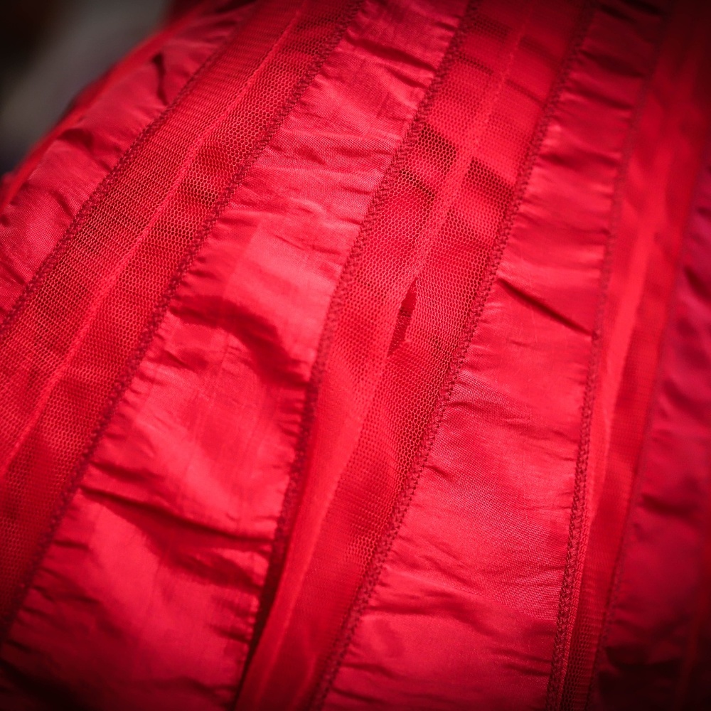 Ariella Red Pleated Satin and Tulle Dress - Picture 5 of 5